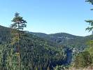 Blick vom Brandweg auf Kurort Kipsdorf mit Spitzberg