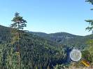 Blick vom Brandweg auf Kurort Kipsdorf mit Spitzberg