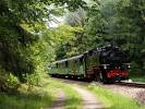 Weißeritztalbahn am Weißeritzweg zwischen Schmiedeberg und Kurort Kipsdorf